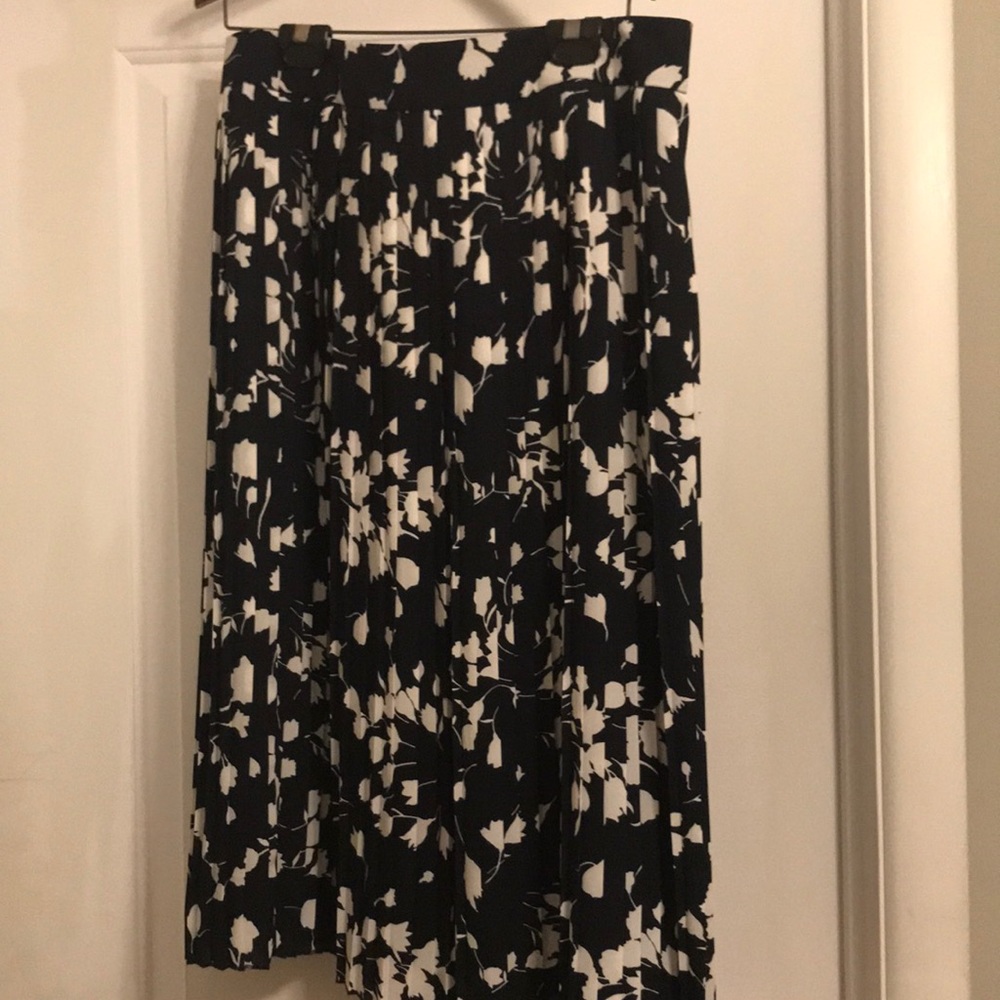 New with tags: gorgeous pleated skirt